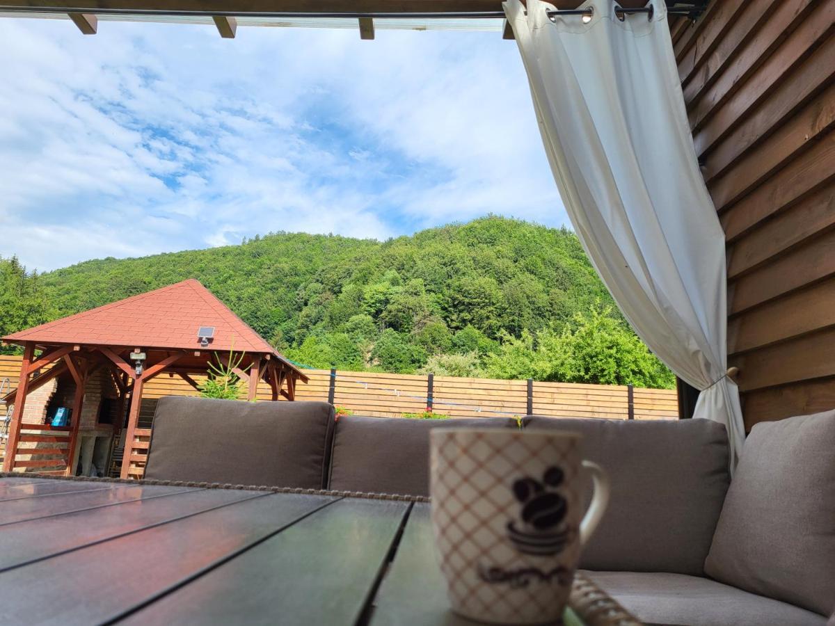 Sura Lu' Vasile. Bed & Breakfast Crivina  Luaran gambar